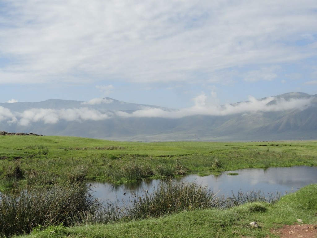 Ngorongoro Krater