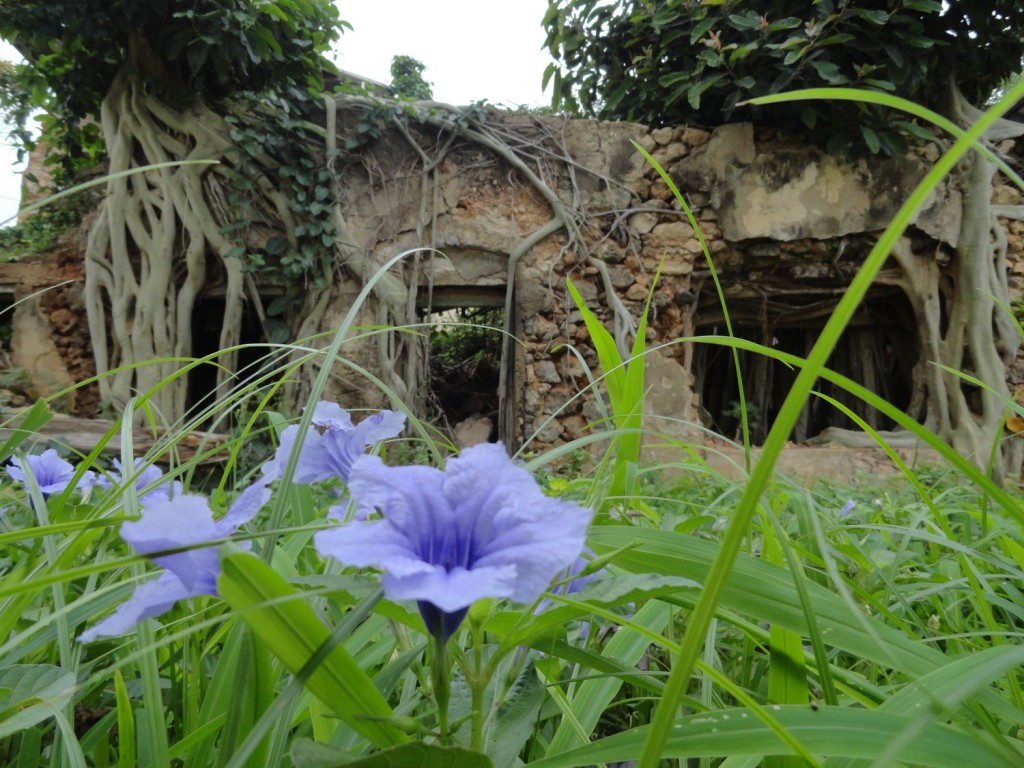 Ruine an der Küste von Lindi