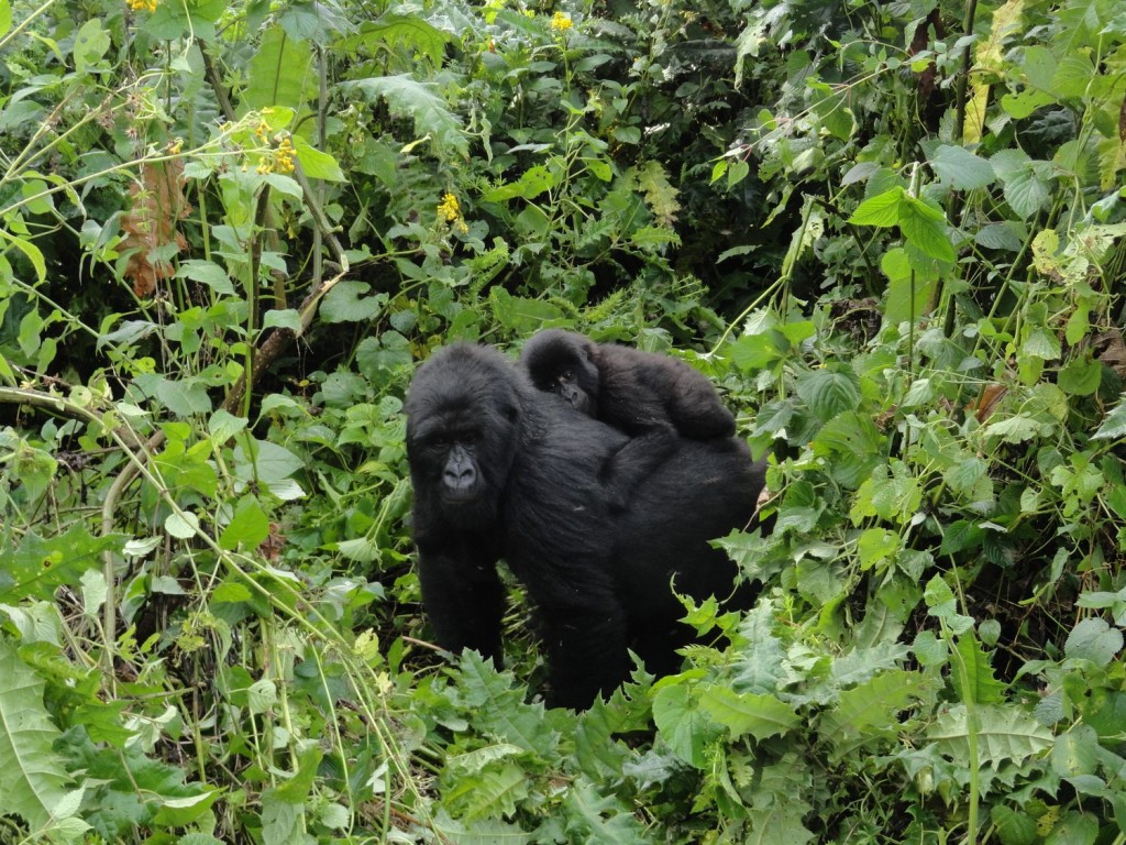 Mother with baby