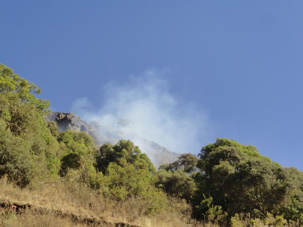 Waldbrand in den Simien Mountains