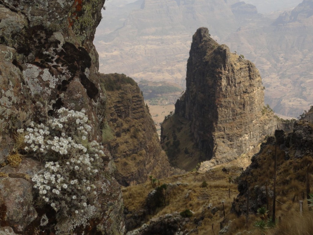 Blick in die Simien Mountains