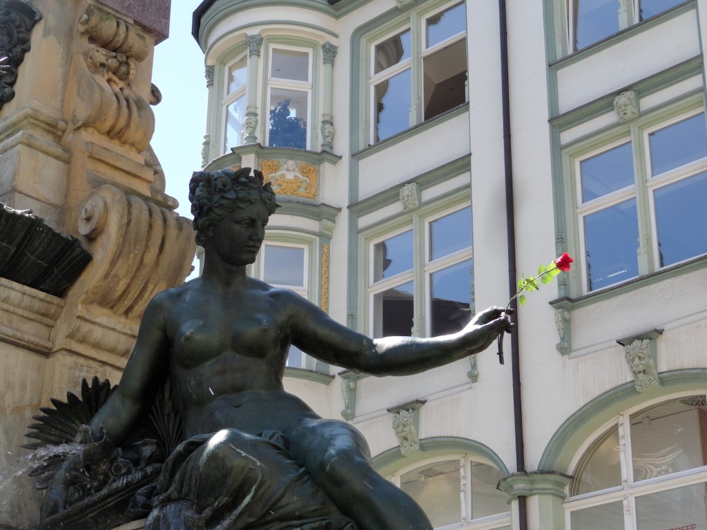 Rose am Angerbrunnen