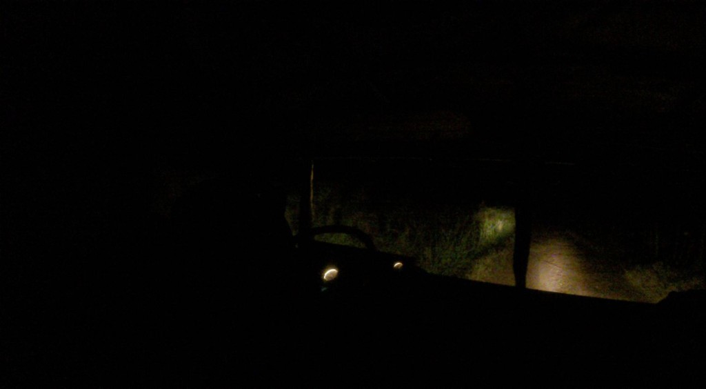 Night time driving - pitch black jungle