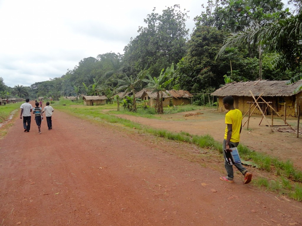 Pygmies village