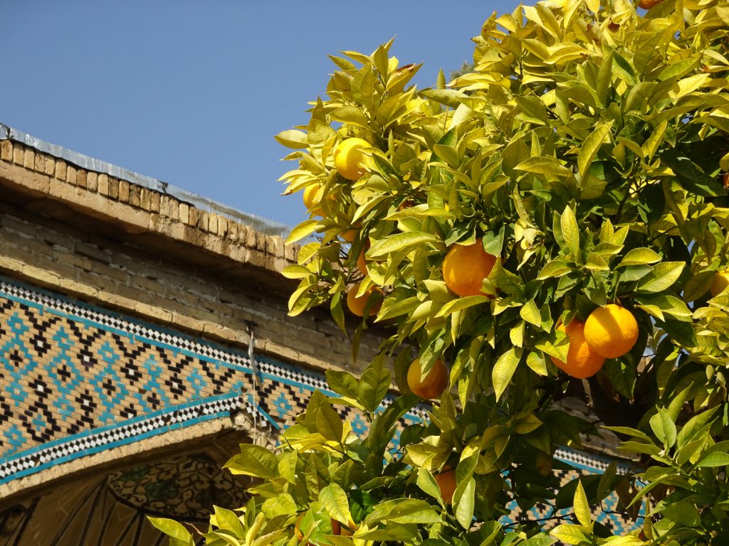 Orangen am Grab von Hafez