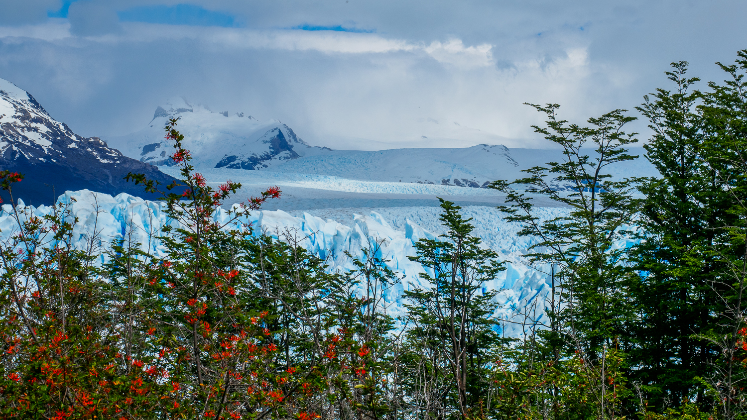 Natur am Perito Moreno Gletscher
